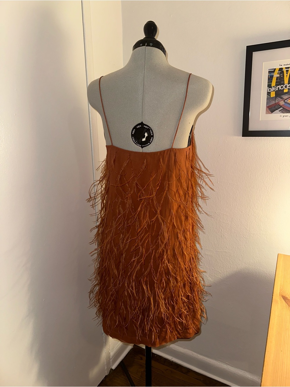 Rebecca Taylor Feather-Trim Slip Dress in Rust Orange - Picture 3 of 8